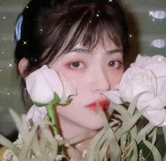 致命姐妹会